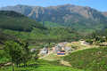 Bye bye Top Station... W drodze do Munnaru