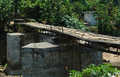W drodze z Munnaru do Ernakulam