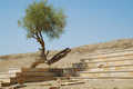 Jaisalmer