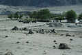 Karakorum Highway