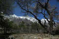 Karimabad