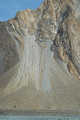 Passu