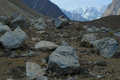 Passu
