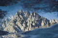 Passu