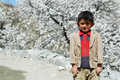 Gulmit