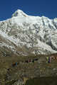 Tarashing, Raikot (7070m)