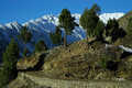 Rupal, w drodze z Tarashing do bazy Herrligkoffer Basecamp pod Nanga Parbat