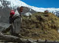 Rupal
