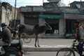 Delhi, Qutb Rd