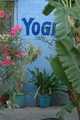 Jodhpur, Yogi Guest House, moja noclegownia