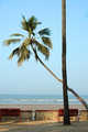 Murud
