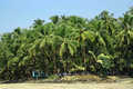 Murud
