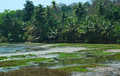 Na trasie Ratnagiri - Margao