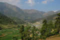 W drodze z Munnaru do Top Station