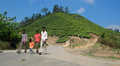 Top Station