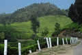 Top Station