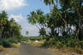 Ayyampalayam