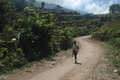 Koviloor