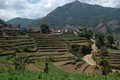 Koviloor