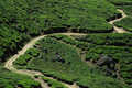 Old Chittivarrai Estate