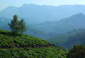 Chittivarrai Estate